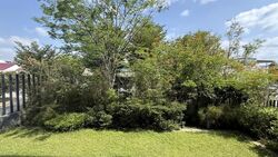 Seaside Park (D15), Semi-Detached #557248101